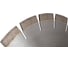 Диск Гранит Pro Line G3 300(310)x3.0x15x60/25.4 мм Diam 030668 3