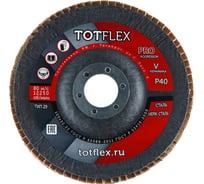 Круг лепестковый торцевой AGGRESSOR-PRO 1 (125x22 мм; V; P40) TOTFlex 2117.407217