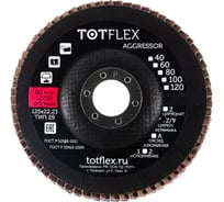 Круг лепестковый торцевой AGGRESSOR 1 (125x22 мм; ZV; P60) TOTFlex 4631148128163