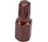 Вставка ROCKFORCE TORX T45х30ммL,10мм RF-1763045 Premium(29524) 3