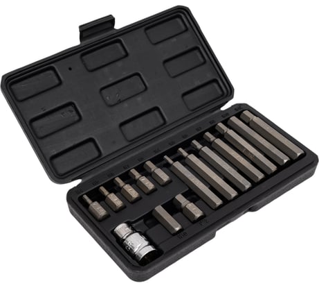 Набор бит НЕХ (15 шт, Н4-Н12) в пластмассовом боксе VOREL 66720