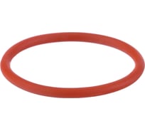 Кольцо уплотнительное IPT 100 NKS0002 (10 шт.) ПТК 00000042850
