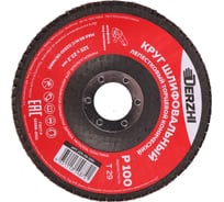 Круг лепестковый торцевой тип T29 (конический) 125x22.2 мм, P100, 3 шт DERZHI 125-29-100-3