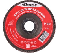 Круг лепестковый торцевой конический тип Т29, P60, 125x22.2 мм, 2 шт DERZHI 125-29-60-2