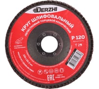 Круг лепестковый торцевой конический тип Т29, P120, 125x22.2 мм, 2 шт DERZHI 125-29-120-2