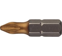 Бита магнитная Philips (2 шт; 25 мм; Ph2; 1/4; titan) МастерАлмаз 10501011