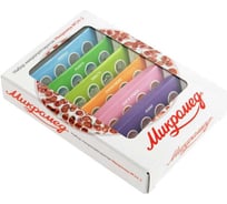 Набор микропрепаратов №24-2 Микромед 30580 м30580-ВИ