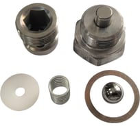 Клапан нагнетательный для DMX, EVOX,Tecnover, Вагнер, Финиш, МКМ, F-15 и др. AktiSpray 16045093