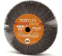 Круг лепестковый P60 A со ступицей MASTER 125x20xM14 мм Totflex 4631170658973