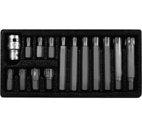 Набор бит Proline 3/8" Ribe М6-М14 15 предметов пластиковый кейс 10746