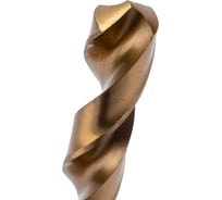 Сверло ООО "ТМТ ГРУПП" цилиндрический хвостовик дл. 12 кл.А1 Р9 н/тит 56269