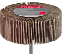 Шлифовальный лепестковый круг Proline 40х20 мм P120 44825