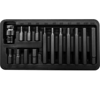 Набор бит Proline 3/8" HEX H4-H12 15 предметов пластиковый кейс 10743