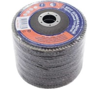 Круг шлифовальный лепестковый торцевой 125x22 мм, Р40, 10 шт РОССНА Р861225