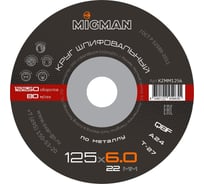 Диск шлифовальный 125x6x22.2 мм, 25 шт Migman KZMM1256