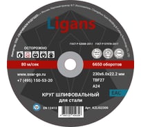 Диск шлифовальный 230x6x22.2 мм, 10 шт Ligans KZLIG2306