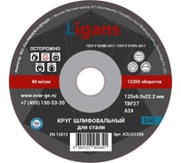 Диск шлифовальный 125x6x22.2 мм, 20 шт Ligans KZLIG1256