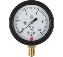 Напоромер НМ 100 Р (0-10) кПа, кл.1.5, G1/2", DIN CASE, черный корпус BD 25111162657
