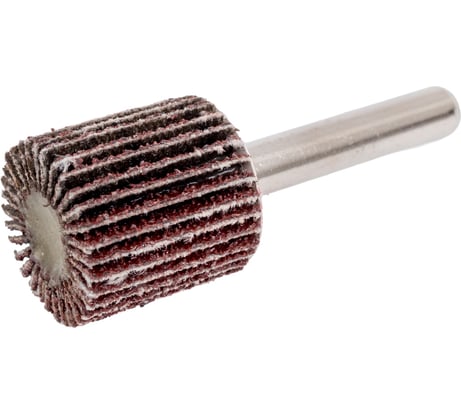 Абразивный лепестковый круг 20x20x6 мм, P80 Rotorica RT.46420203