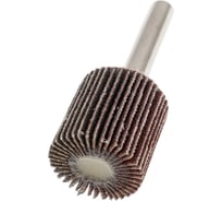 Абразивный лепестковый круг 20x20x6 мм, P180 Rotorica RT.46420207