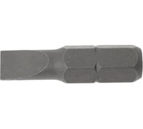 Набор бит SL0.5x5.5, 10 шт, 1/4" IZELTAS 4810000855