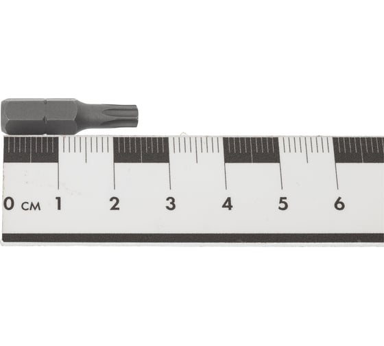 Набор бит TX25, 10 шт, 1/4" IZELTAS 4830000025