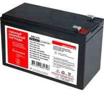 Сменный батарейный картридж для ИБП МНОГОТОКА RBC175 серия Professional - APC: 12 В, 9 Ач, 2,5 кг RBC175 Professional