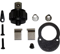 Ремонтный комплект для рукоятки трещоточной R0602, 1/4"DR, 24 зубца Jonnesway R0602RK 47540