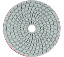 Круг шлифовальный "Черепашка" 100 мм, P400 REDVERG 6687574