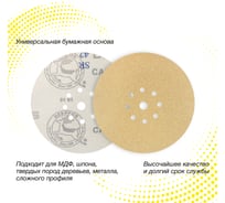 Круг шлифовальный на бумаге CA331 225 мм, 9 отв., Р220, 10 шт Deerfos 4673751372694