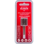 Круг лепестковый 20х20х6 мм, P100 ELITECH 1820.133800 204047