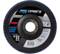 Диск лепестковый конический Омега R828 (125x22 мм; P80) NORTON 78072716284