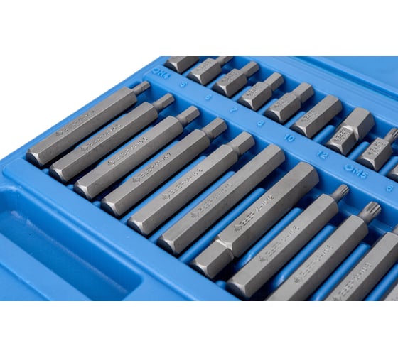 Специальные биты ЗУБР HEX TORX SPLINE 40 шт. 2653-H40_z01