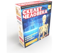 Исследовательский набор-скелет человека ND Play 277382