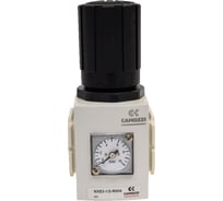 Регулятор давления с манометром NXE3-1/2-R004 1/2 дюйма Camozzi SRF40-7222-2010M4