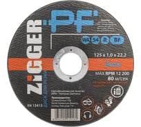 Диск отрезной для нержавеющих сплавов (125х1х22.2 мм) ZIGGER 11593852
