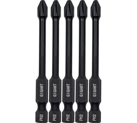 Торсионные биты PH2, 70 мм, 5 шт, S2 Gigant GBM TR5270
