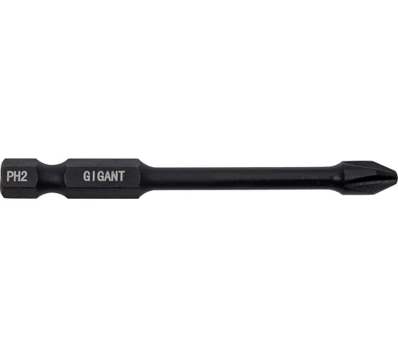 Торсионные биты PH2, 70 мм, 5 шт, S2 Gigant GBM TR5270
