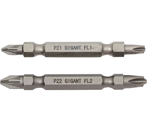 Биты двусторонние комбинированные 2 шт, PZ-FL2, PZ-FL1, 65 мм, S2 Gigant GBS 2C65B