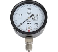Напоромер НМ 100 Р (0-40) кПа, кл. 1.5, М20x1.5, DIN CASE, черный корпус BD 1251243012