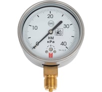 Напоромер НМ 100 Р (0-40) кПа, кл. 1.5, G1/2", DIN CASE BD 1251243020