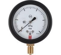 Напоромер НМ 100 Р (0-6) кПа, кл. 1.5, G1/2", DIN CASE BD 1251243021