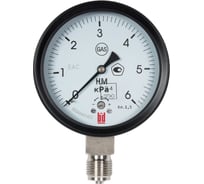 Напоромер НМ 100 Р (0-6) кПа, кл. 1.5, G1/2", DIN CASE, черный корпус BD 1251243013