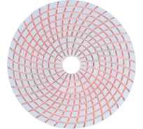 Алмазный гибкий шлифовальный круг TRIO-DIAMOND "Черепашка" 125 мм № 100 350100