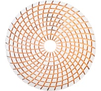 Алмазный гибкий шлифовальный круг TRIO-DIAMOND "Черепашка" 125 мм № 3000 353000