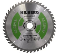 Диск пильный Hilberg Industrial Дерево 250x32/30x48Т HW254