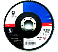 Диск лепестковый KX663 ATLAS (125x22 мм; Р40) Norton 004960