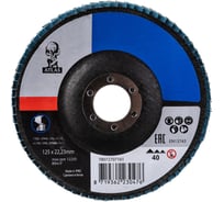 Диск лепестковый KX663 ATLAS (125x22 мм; Р40) Norton 004960