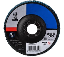 Диск лепестковый KX663 ATLAS (10 шт; 125x22 мм; Р40) Norton 78072707161