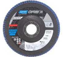 Диск лепестковый конический Омега R828 (125x22 мм; P60) NORTON 004955